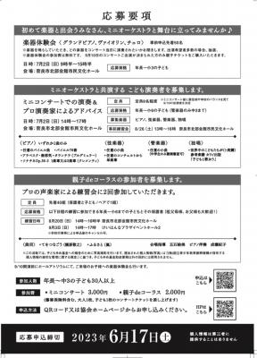 チラシ裏面