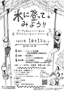 木に登ってみよう！